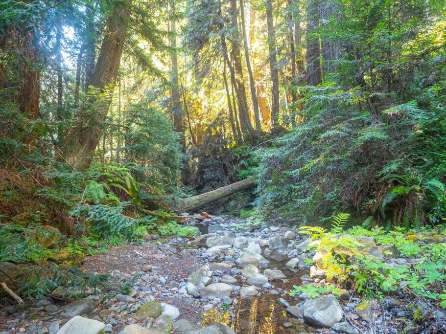 Driftwood Lodge ~ 5 Bedroom / 7 Bath ~ 30-Acre Private Estate On Hwy 1 ~ Hot Tub ~ Oceanview ~ Reunions & Retreats Walsh Landing Exterior foto