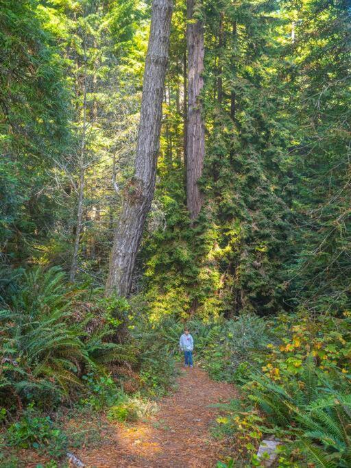 Driftwood Lodge ~ 5 Bedroom / 7 Bath ~ 30-Acre Private Estate On Hwy 1 ~ Hot Tub ~ Oceanview ~ Reunions & Retreats Walsh Landing Exterior foto